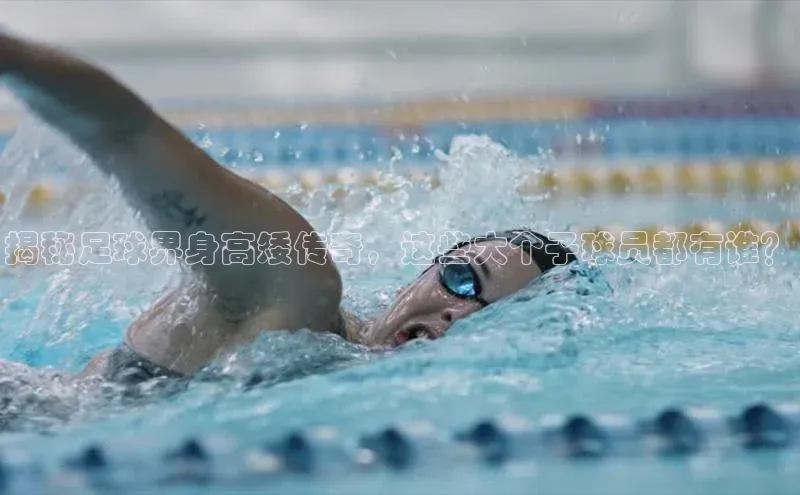 人生就是博(中国)登录入口百度教育