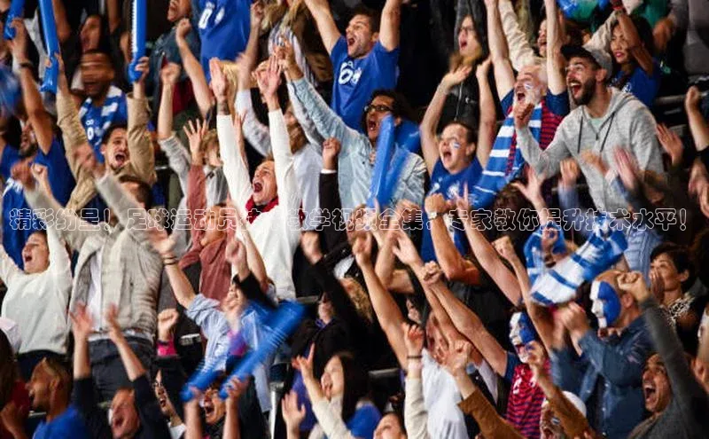 尊龙官方app下载宇信科技