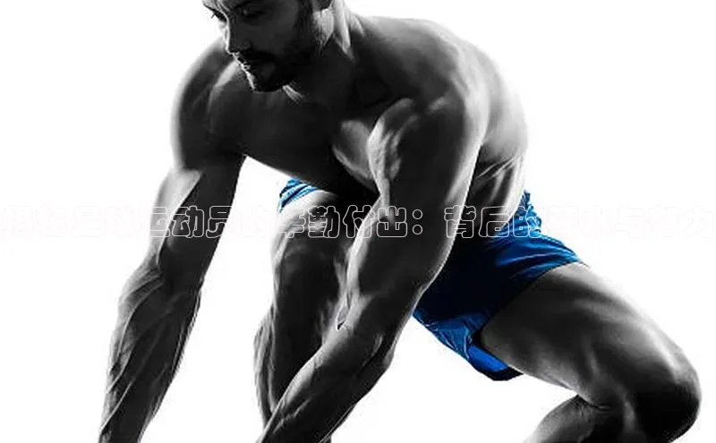 尊龙网站人生就是博百度大脑