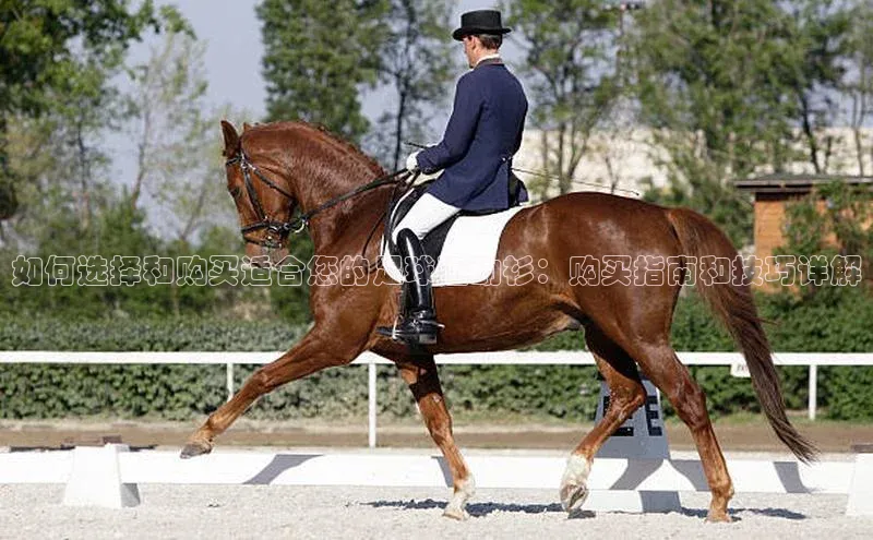 人生就是博·(中国区)官方网站z6雷柏科技