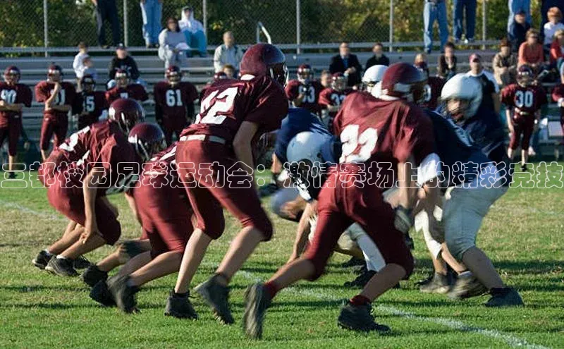 尊龙凯时人生就是搏z6com百度取证