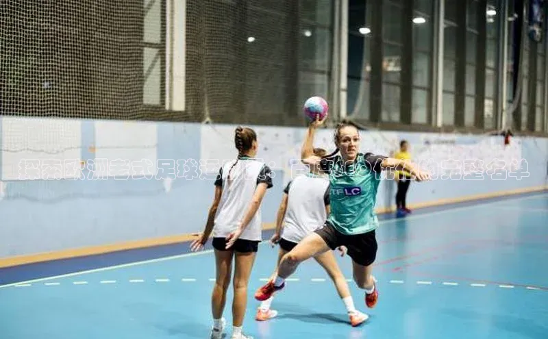 尊龙官网入口百度翻译App