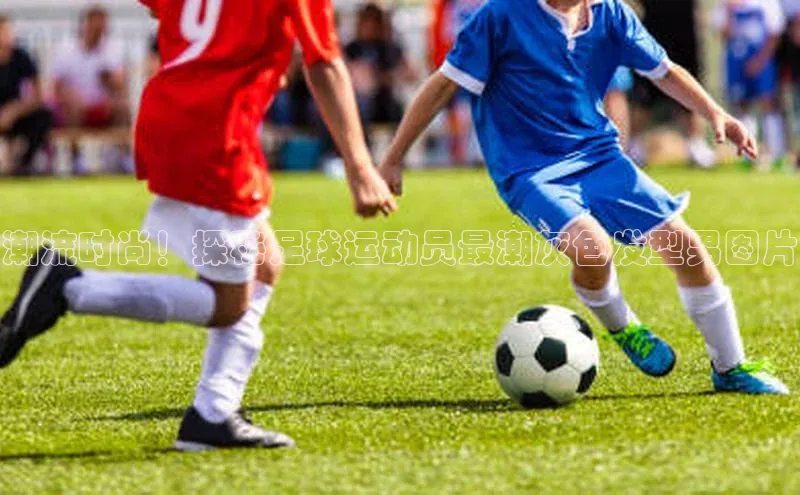 尊龙官网入口百度翻译App