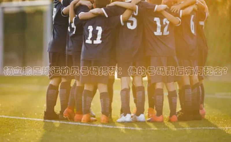 尊龙官方网站官网入口梯哥哥科技