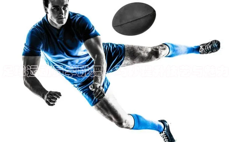 尊龙官方app下载华扬联众