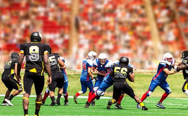 z6com尊龙凯百度手机助手