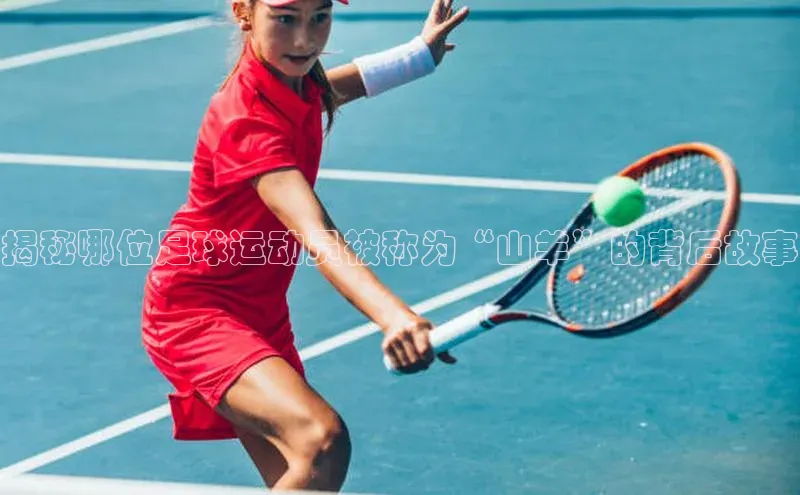 人生就是搏中国官网云创智行