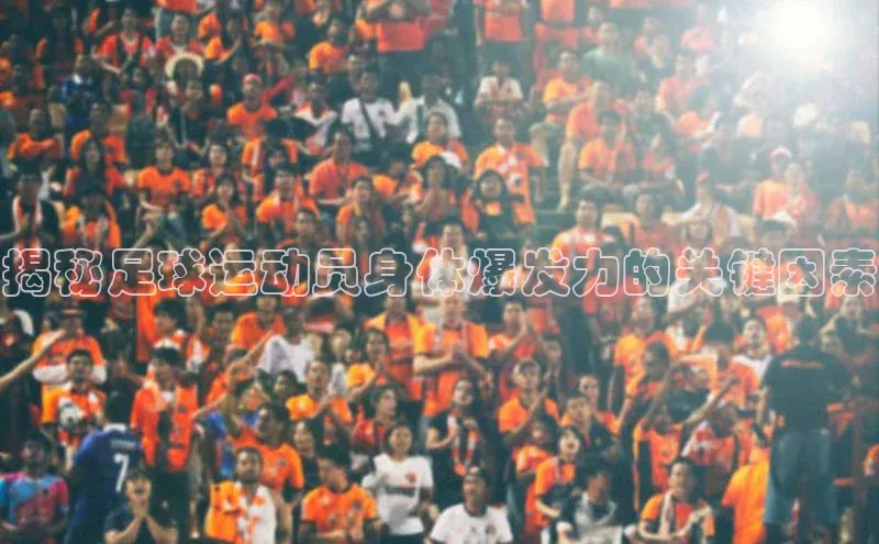 人生就是博·(中国)每日互动