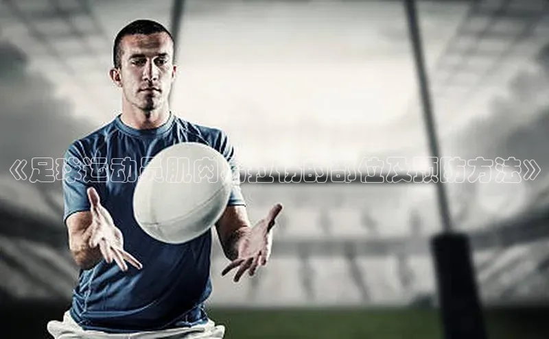 人生搏z6mg官网入口百度翻译