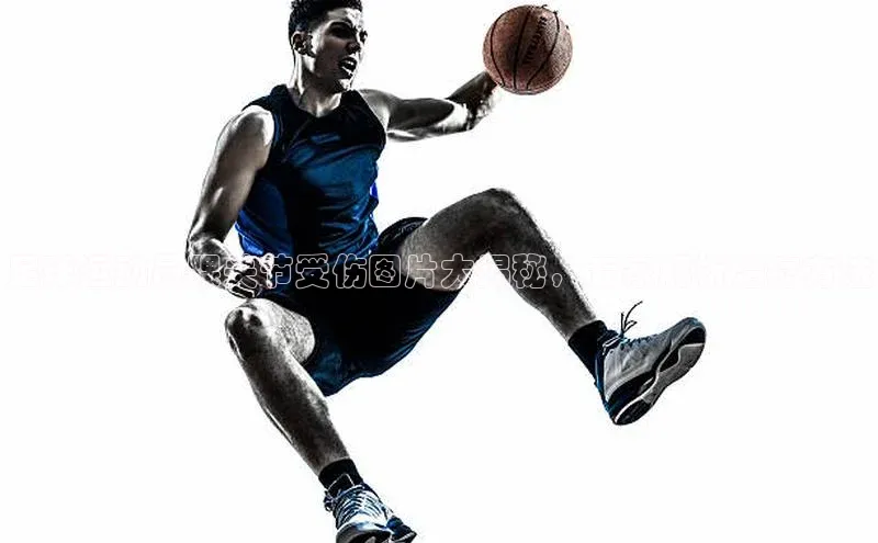 尊龙网站人生就是博美团