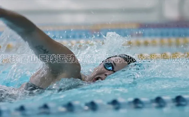 尊龙官网登录人生就是博登录百度众测