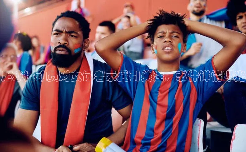 人生搏中国官网入口京东