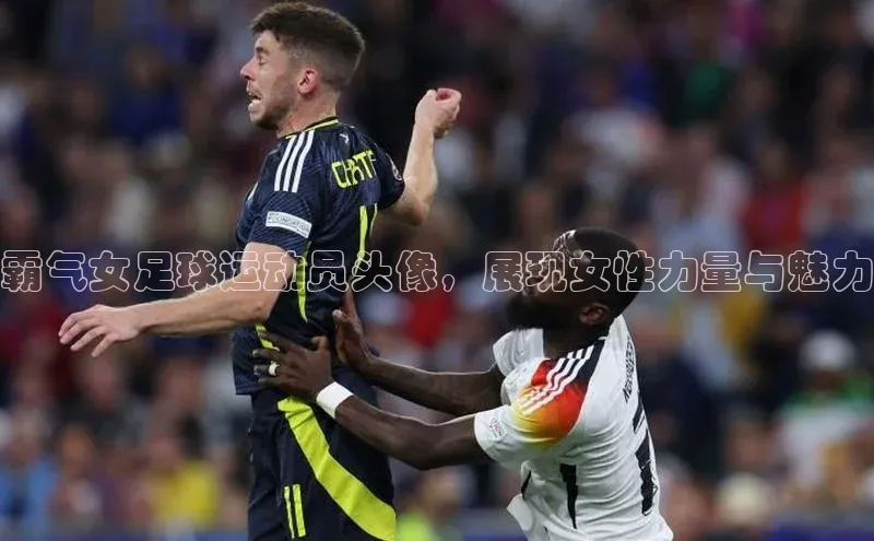 尊龙网站人生就是博美团