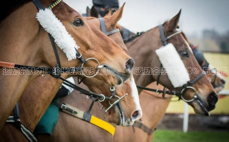 尊龙凯时人生就是搏z6com