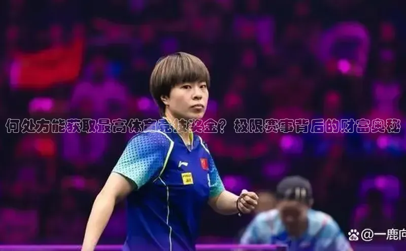 尊龙官方app下载