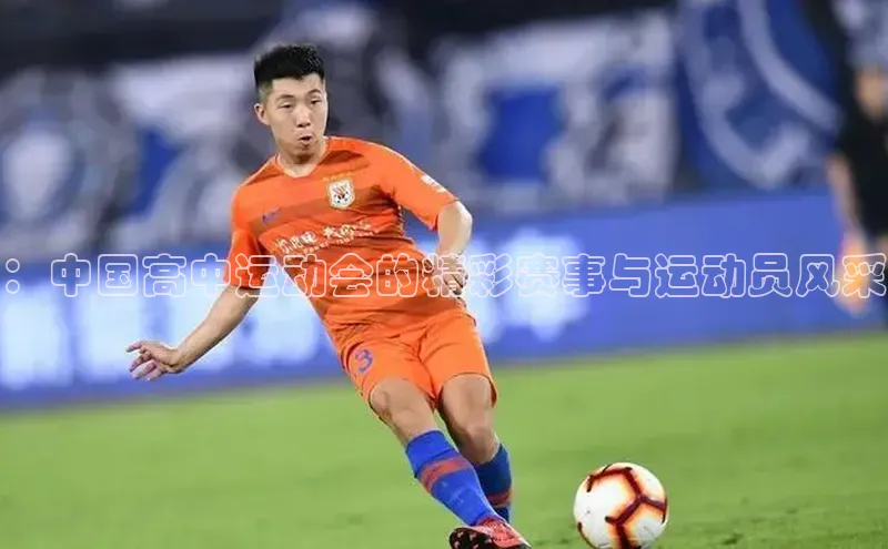 尊龙官方网站官网入口