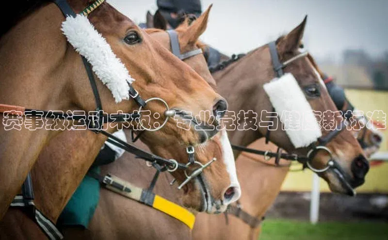 人生搏中国官网入口