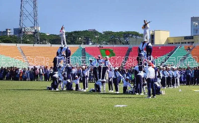 z6mg尊龙官方网站进入