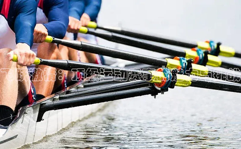 尊龙官方app下载